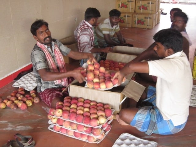 Obstmarkt_Chennai_1409-064