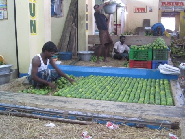 Obstmarkt_Chennai_1409-114