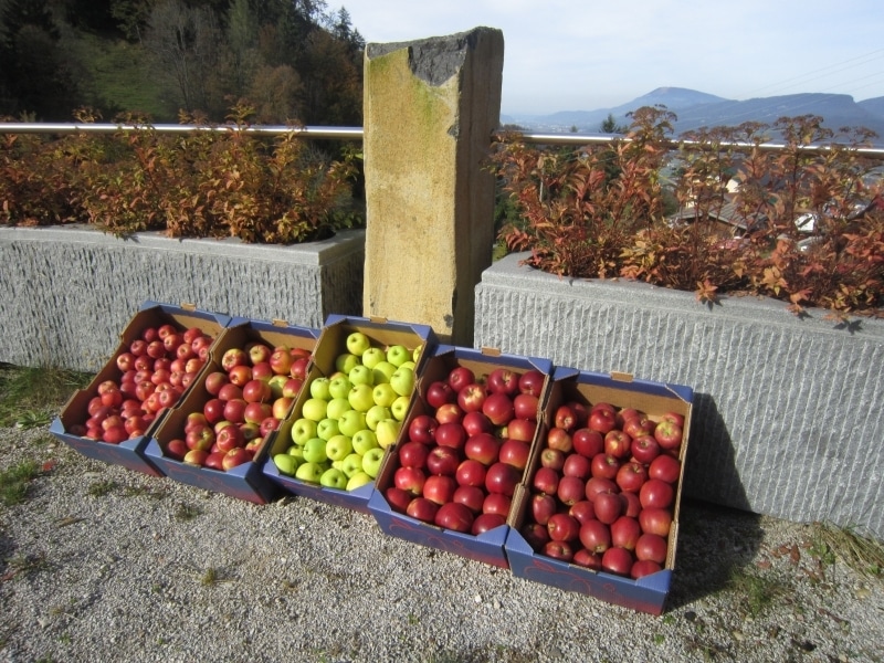aepfel_duerrnberg-002